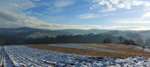 Outdoor Pictures 19