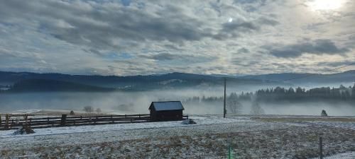 Outdoor Pictures 20