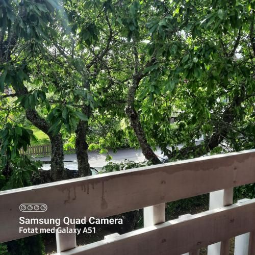 Outdoor Pictures 4