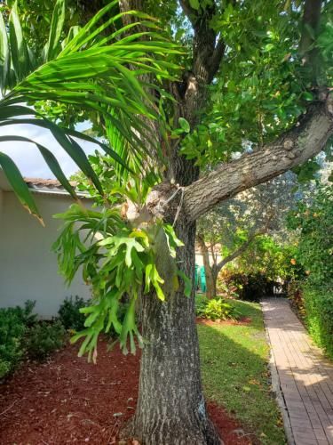 Outdoor Pictures 23