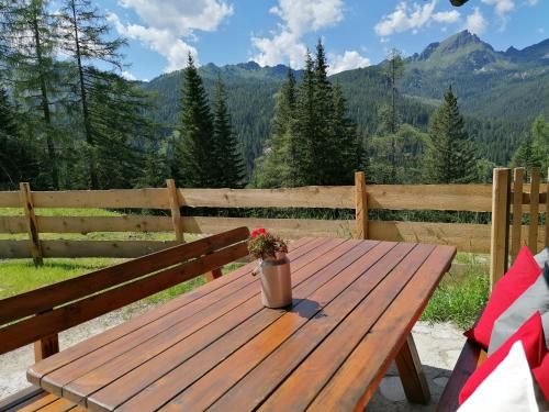 Outdoor Pictures 6