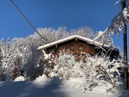 Wald-Ferienhaus-Seefried