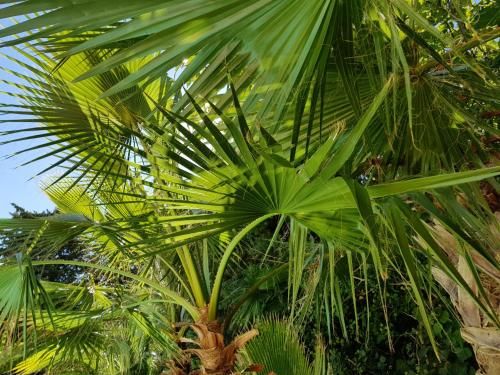 Outdoor Pictures 15