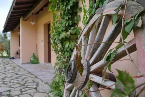 Outdoor Pictures 15