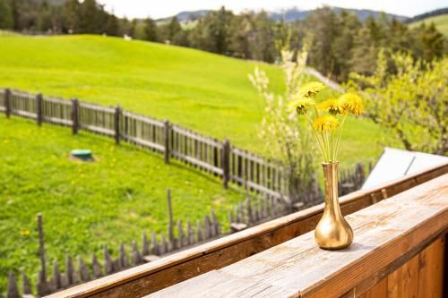 Outdoor Pictures 15