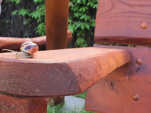 Outdoor Pictures 17