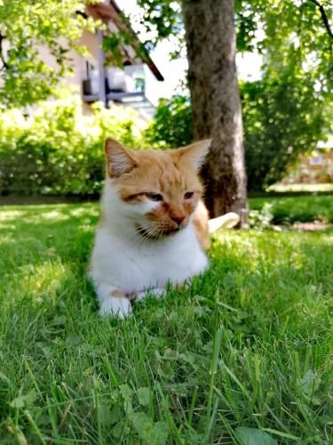 Outdoor Pictures 22