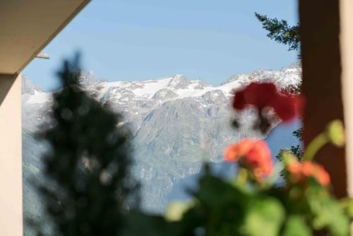 Outdoor Pictures 5