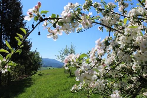 Moderne Ferienwohnung mit eigenem Garten und traumhaften Blick