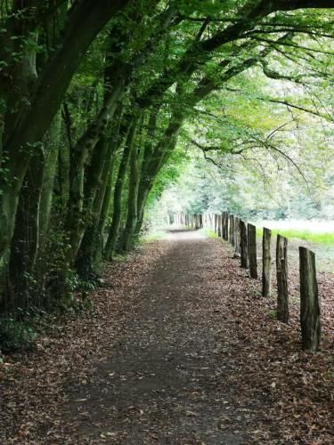 Outdoor Pictures 9