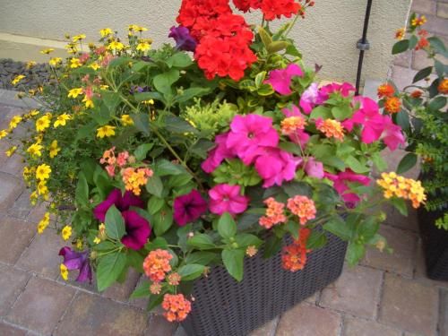 Outdoor Pictures 21