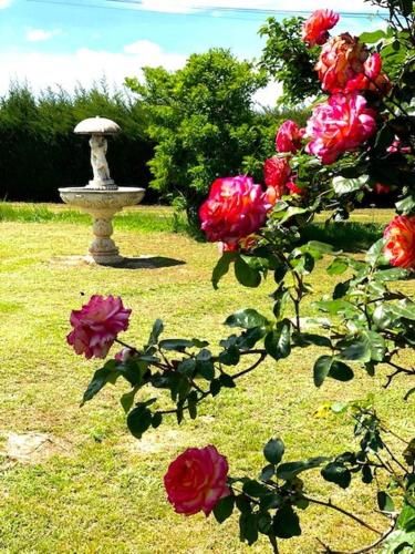 Outdoor Pictures 10