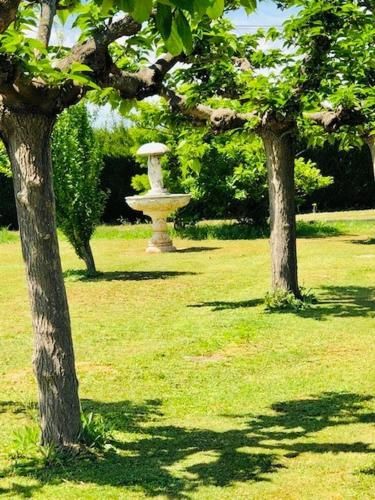 Outdoor Pictures 11