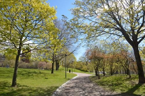 Outdoor Pictures 23