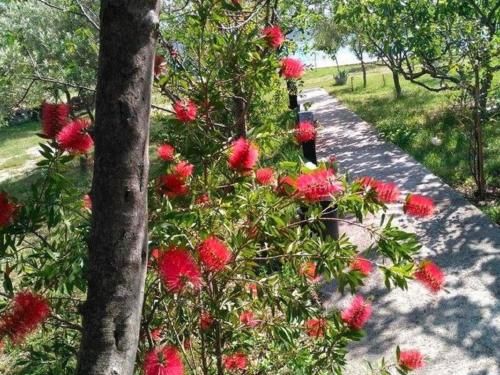 Outdoor Pictures 23