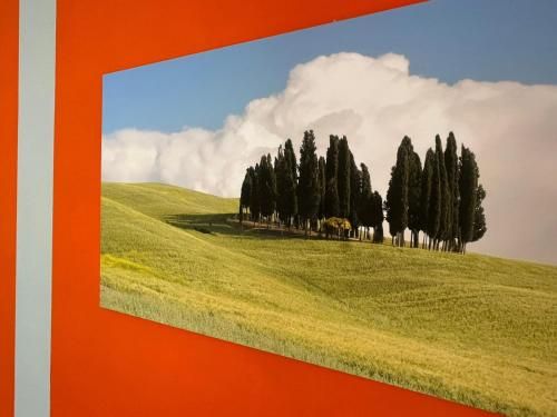 Outdoor Pictures 7