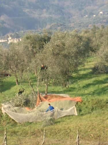 Outdoor Pictures 8