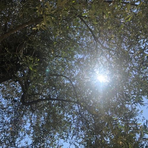 Outdoor Pictures 13