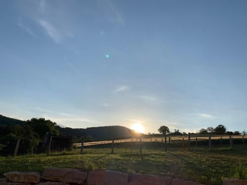 Outdoor Pictures 7