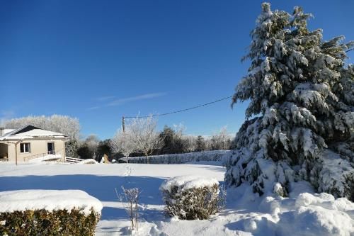 Outdoor Pictures 13