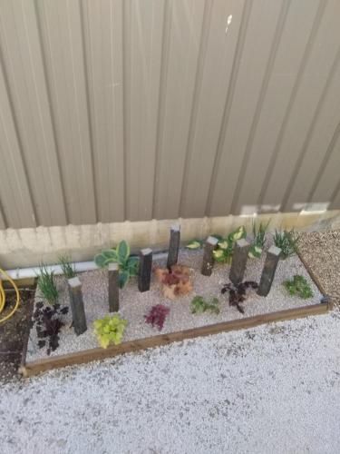 Outdoor Pictures 2