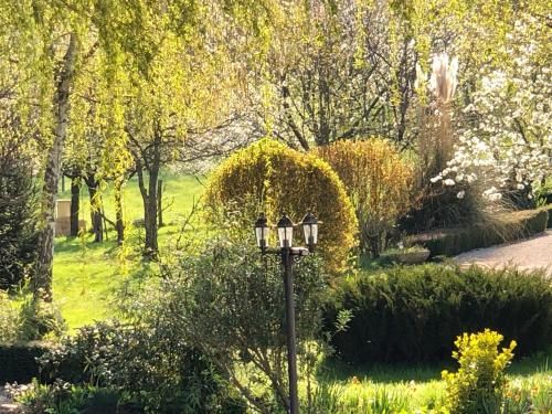 Outdoor Pictures 2