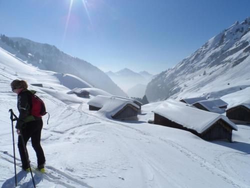 Le 211,ski et randonnée, lave linge ,parking