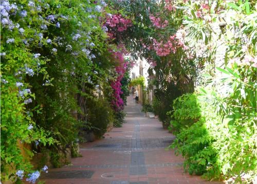 Outdoor Pictures 7