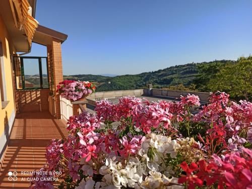 Outdoor Pictures 2
