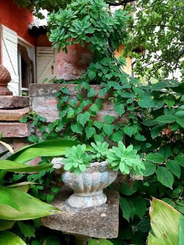 Casa Morelli