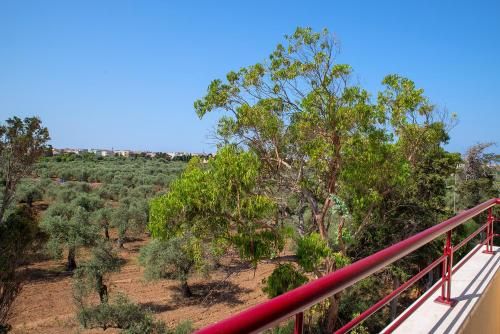 Outdoor Pictures 19