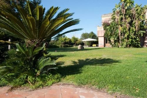 Outdoor Pictures 10