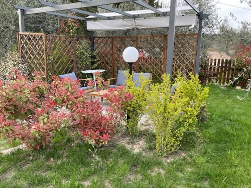 Outdoor Pictures 12
