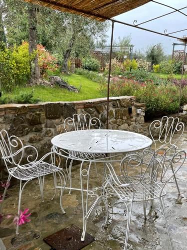 Outdoor Pictures 21