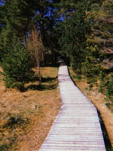Outdoor Pictures 12
