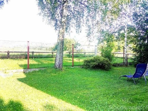 Outdoor Pictures 11