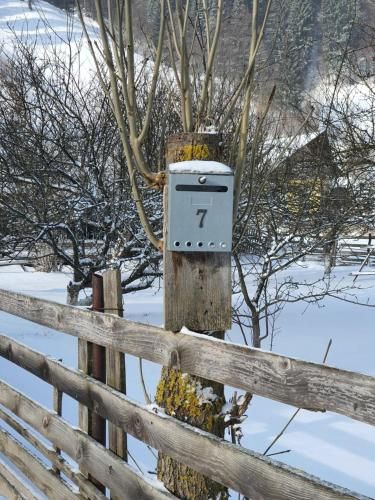 Outdoor Pictures 7