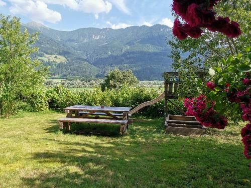 Outdoor Pictures 5