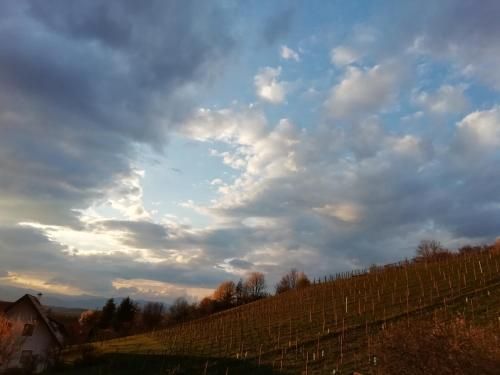 Outdoor Pictures 22
