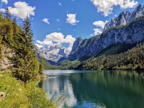 Outdoor Pictures 20