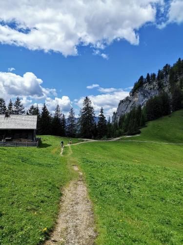 Outdoor Pictures 23
