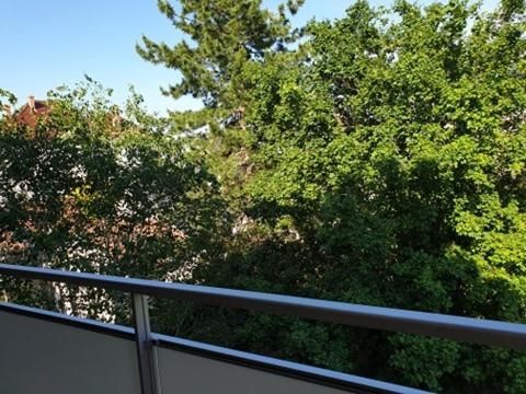 Outdoor Pictures 7