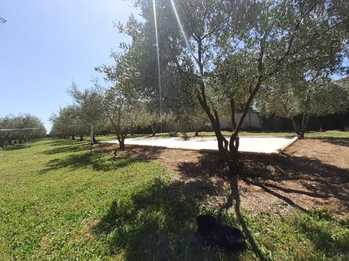 Outdoor Pictures 10