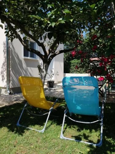 Outdoor Pictures 6