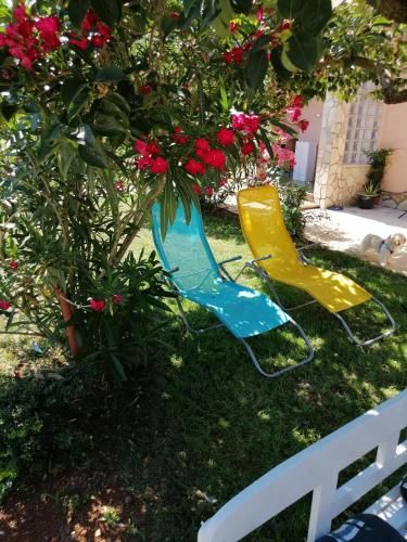 Outdoor Pictures 7