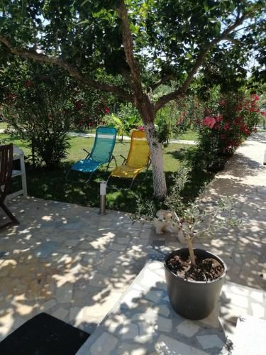 Outdoor Pictures 9