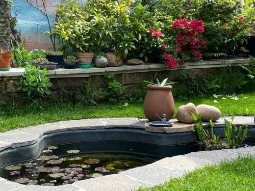 Outdoor Pictures 15