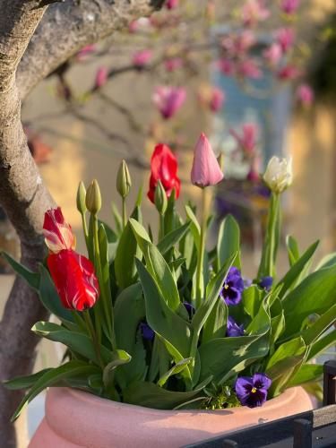 Outdoor Pictures 20