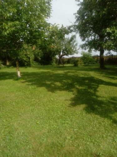 Outdoor Pictures 8