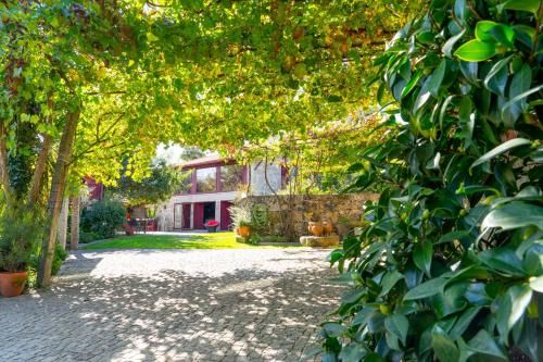 Outdoor Pictures 24